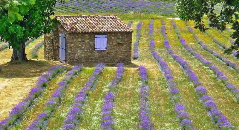 Quinta Das Lavandas Castelo de Vide Exterior photo