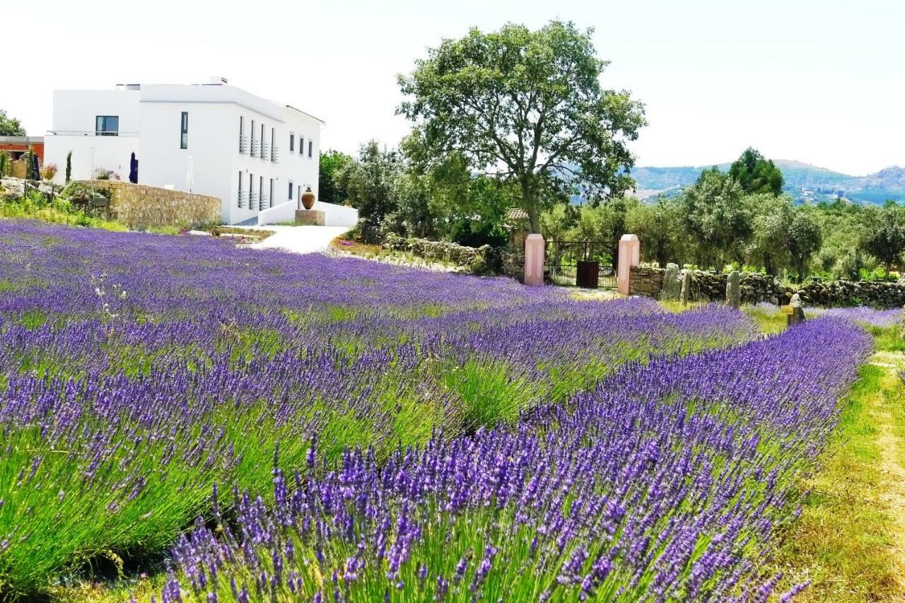 Quinta Das Lavandas Castelo de Vide Exterior photo